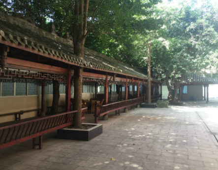 1604547808522088622.png 成都市武侯區(qū)長青樹養(yǎng)老院2.png