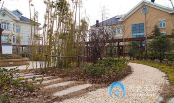 1604555992647034890.png 江蘇省老年公寓3.png