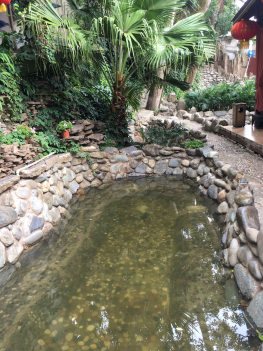 1604651462424016912.png 云南銀鷹溫泉酒店.png