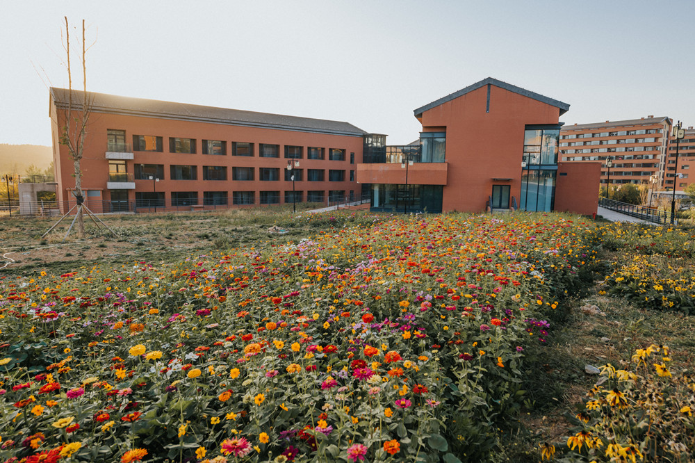 1605147586831002268.jpg 1605147586831002268.jpg