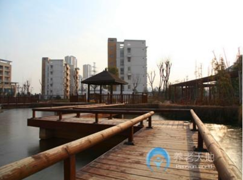 1605160585851062677.png 1.png