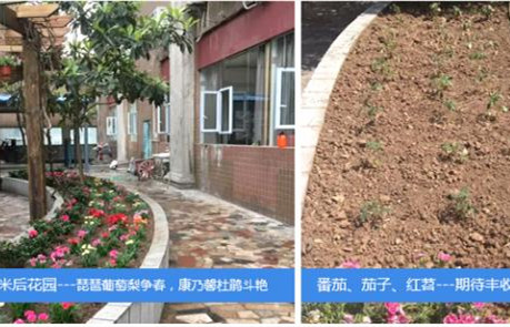 1605235620384063882.jpg 1605235620384063882.jpg