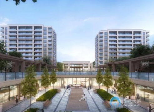 1605752459709016420.png 1.png