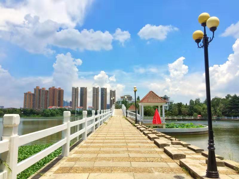 1606211236363009695.jpg 1606211236363009695.jpg