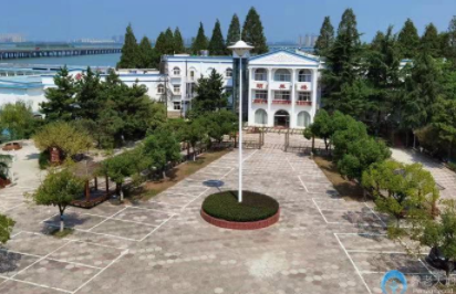 1606459964828027881.png image.png