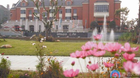 1606461287807085423.png image.png