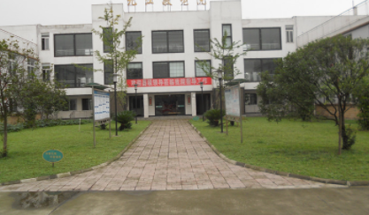 1606715084727044215.png image.png