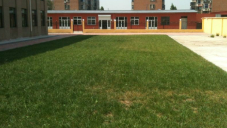 1606718567456091500.png image.png