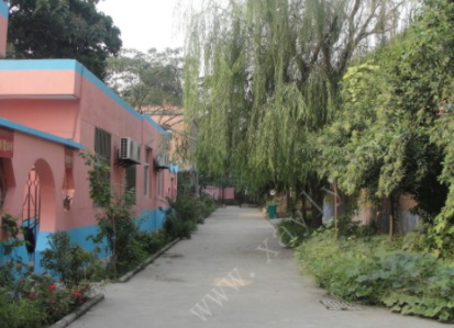 1606724124435043820.png image.png