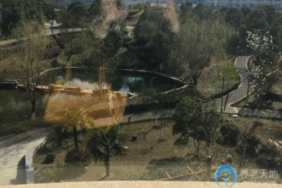 1606880120617026156.png image.png