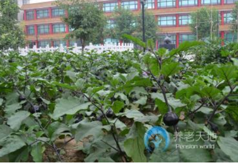 1606893539753043336.png image.png