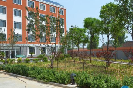 1606982694164026479.png image.png