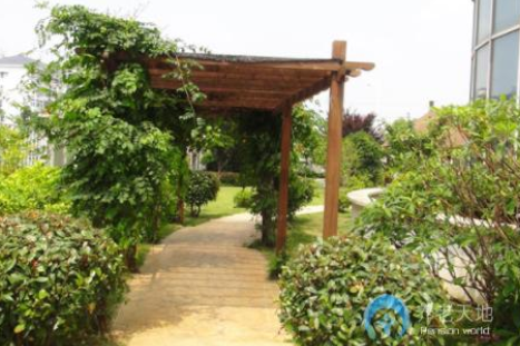 1607064774444024050.png image.png