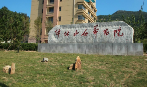 1607321565063035184.png image.png