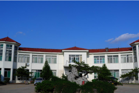 1607323147887090120.png image.png