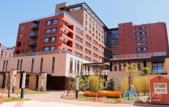 1607329010178073600.png image.png