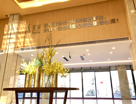 1607399376951020902.png image.png