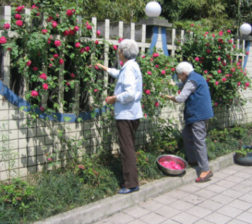 1607482462181082667.png image.png