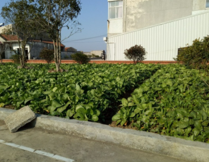 1607496483112070596.png image.png