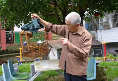 1607668985120028213.png image.png