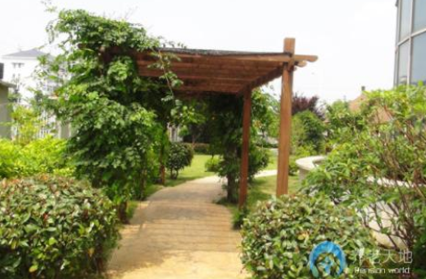 1607933281732090495.png image.png