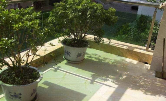 1607934049856020476.png image.png