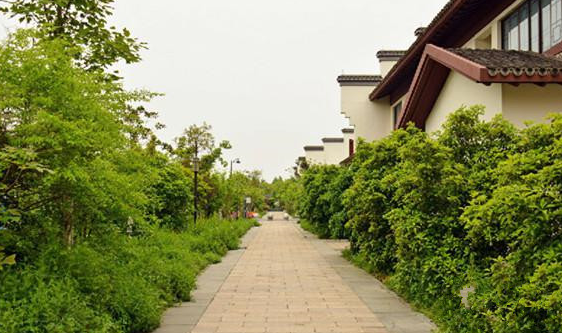 1608607836073051260.png image.png