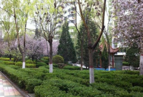 1608712030668016106.png image.png