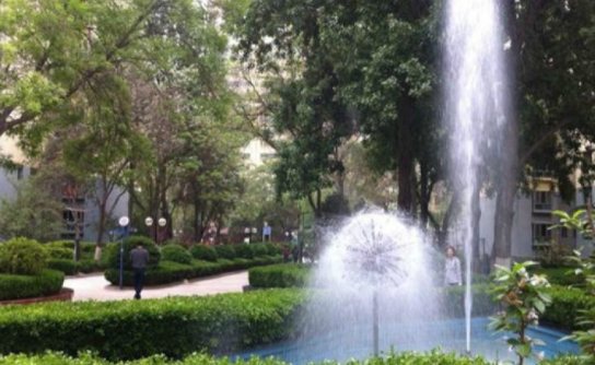 1608712053979069472.png image.png