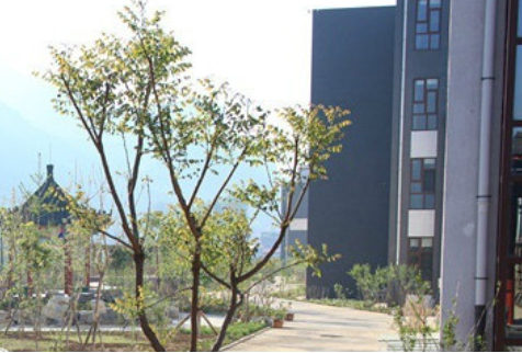 1608776036092019348.png image.png