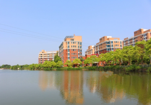 1608796843774024502.png image.png