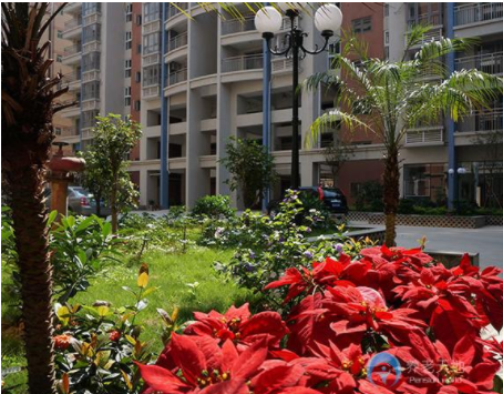 1609209415718072211.png image.png