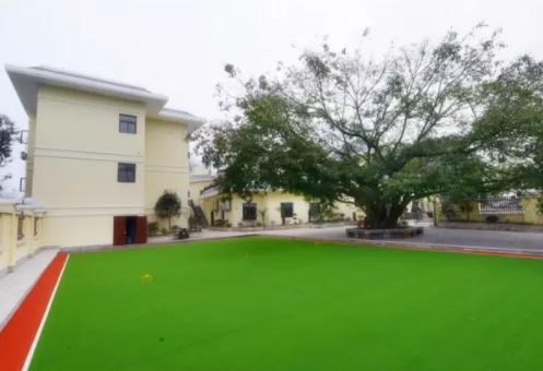 1609210492187025556.png image.png