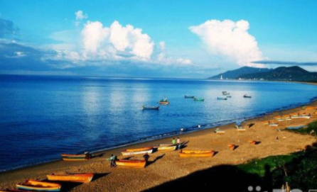 1609311695319054249.png image.png