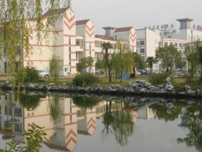 1609317297053025348.png image.png