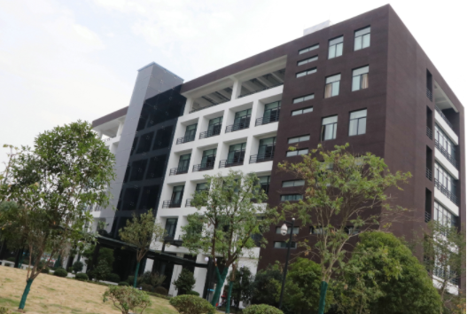 1609382884575059311.png image.png