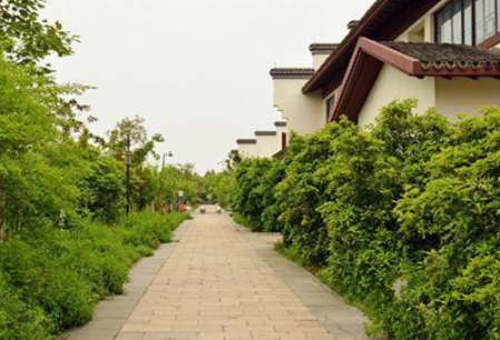 1609921667672055371.png image.png