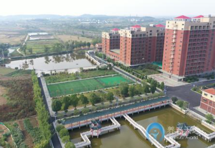 1610087539666010925.png image.png