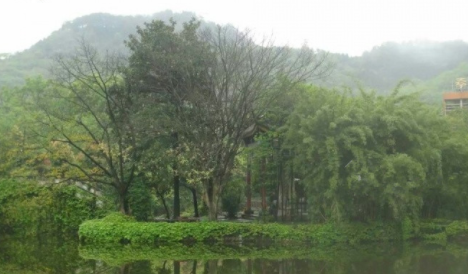 1610091062432073154.png image.png