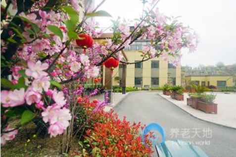 1610351036895052082.png image.png