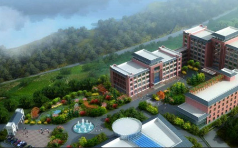 1610352286233082296.png image.png