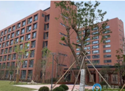 1610443126171004461.png image.png