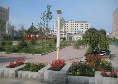 1610935101481079212.png image.png