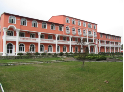 1611020316966086866.png image.png