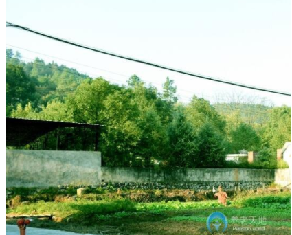 1611027344638018698.png image.png