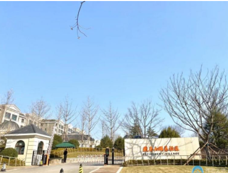 1611045905483039071.png image.png