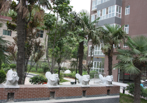 1611201343090087655.png image.png