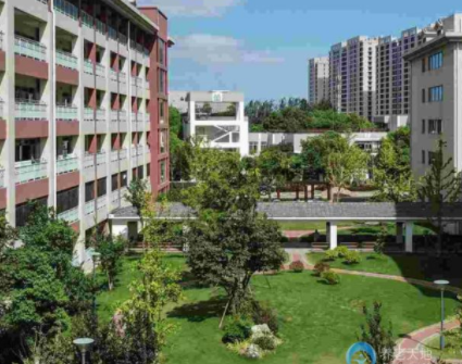 1611215317770048948.png image.png