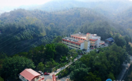 1611397631000097392.png image.png