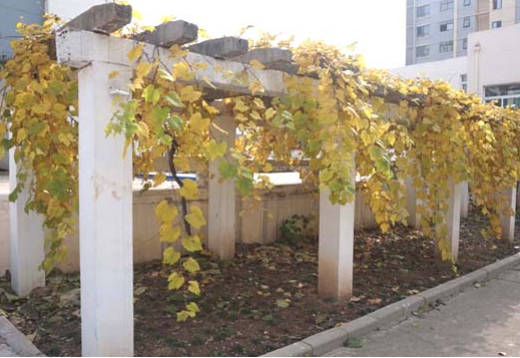 1611720152342076780.png image.png